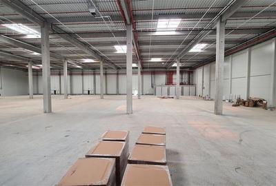 Spațiu industrial, de 2,500 mp, în Lugojului - 6
