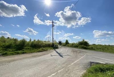 Teren Construcții intravilan de 12631 mp, în Șelimbăr - 8