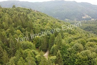 Teren de vanzare in apropiere de Transfagara?an ?i Valea Valsanului. - 12