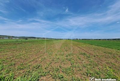 Vanzare Teren Extravilan, Jucu de mijloc, Oportunitare de Investitie - 2