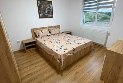 Casă cu 4 camere cu Teren 450 Mp în Vișani - 2