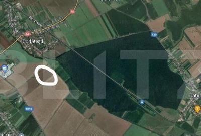 Teren extravilan arabil 21ha Teren extravilan arabil 21ha - 3