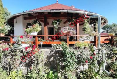 Casă unică de vânzare în Valea Crișului! - 2