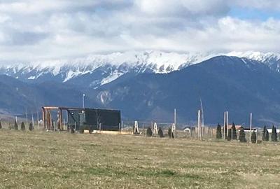 Teren Construcții intravilan de 8850 mp, în Exterior Sud - 7