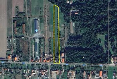 Teren de 5500 mp, în Bazoș - 2