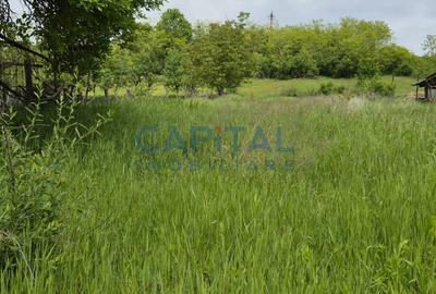 Teren extravilan, 2 922 mp, Apahida - 2