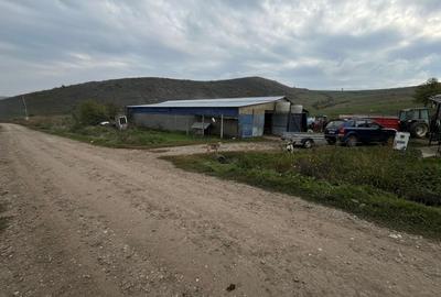 Oferta de vanzare ferma: hala de 500 mp.+teren 6500 mp, Frata, 69900 EURO - 4