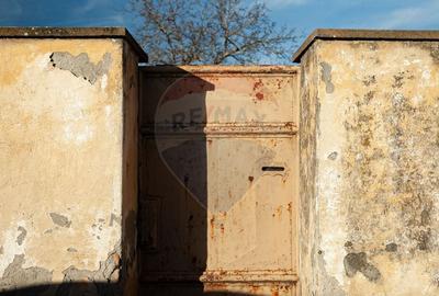 Casa / Vila cu 3 camere de vanzare in zona Aradul Nou - 26