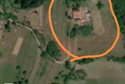 Casa de vanzare in Dumbravi?a de Codru - 3