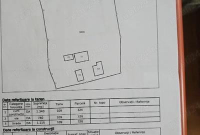 Casă cu Teren 3200 Mp în Grecești - 1
