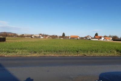 Teren de 2325 mp, în Prejmer - 4
