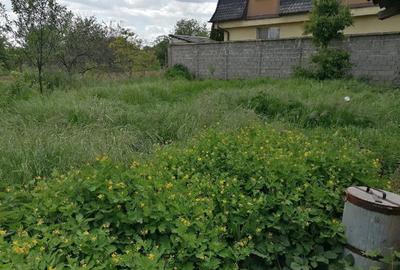 Casă cu 4 camere cu Teren 586 Mp în Central - 4