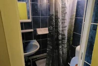 Garsoniera decenta confort 3 Vlaicu Fortuna etaj 2 - 2