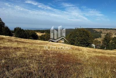 Teren de vanzare Muntele Semenic - 2