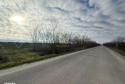 Teren de 6600 mp, în Botizului - 3