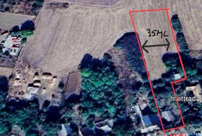 Spațiu comercial, în Lipia - 11