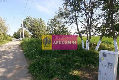 Teren de 5000 mp, în Copăceni - 4