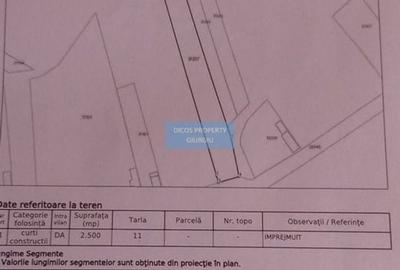 Teren intravilan 2.500 mp - Vieru, Giurgiu - 4