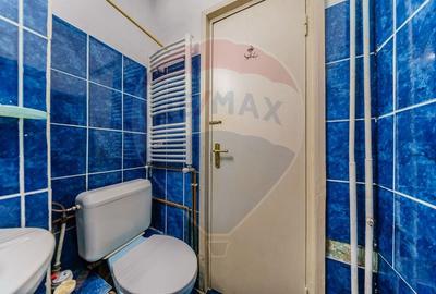 Apartament cu 3 camere decomandat, mobilat în Aurel Vlaicu - 14