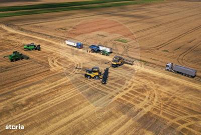 Spațiu comercial, în Armeni - 7