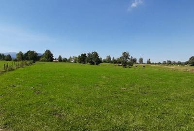 Teren de 9350 mp, în Bran - 4