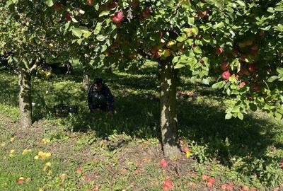 Casă cu 3 camere în Săliște - 2