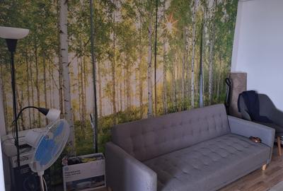 Garsonieră semidecomandată, mobilată în Noua - 3