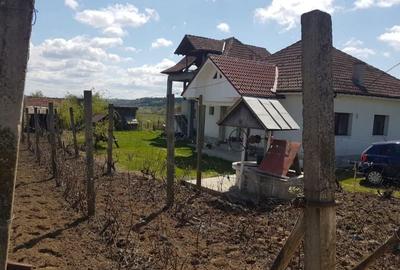 Casă cu 4 camere în Noua - 7