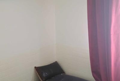 Garsonieră decomandată în Noua - 4