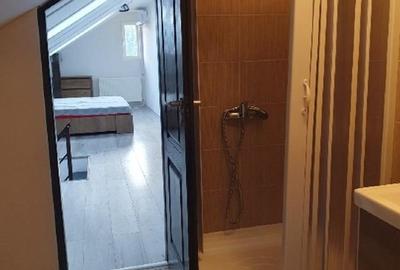 Apartament 1 camera + pod in Tudor - 12