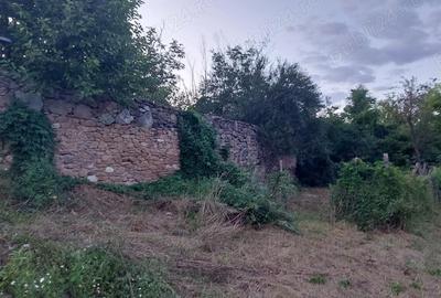 Casă cu 3 camere cu Teren 1200 Mp în Goruia - 3