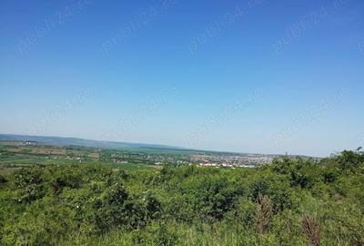 Teren de 350 mp, în Cercu - 3