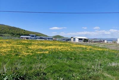 Teren de 1500 mp, în Codlea - 2