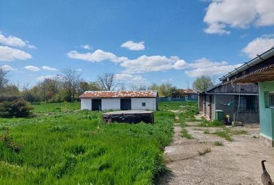 Casă cu 5 camere cu Teren 2100 Mp în Scorțaru Vechi - 9