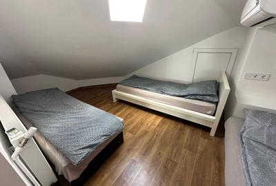 Casă cu 2 camere în Viișoara - 3