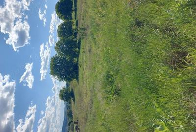 Teren intravilan, in Criseni - 3