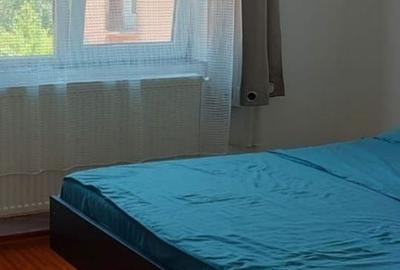 Apartament cu 2 camere decomandat în Șoarș - 8