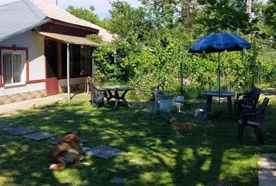 Casă cu 2 camere cu Teren 1650 Mp în Bragadiru - 5