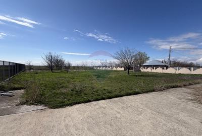 Casă cu 5 camere cu Teren 3400 Mp în Răchitosu - 27