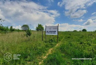 Teren de 2880 mp, în Lipova - 2