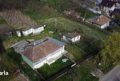 Casă cu 3 camere cu Teren 3633 Mp în Delești - 9
