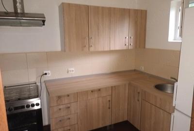 Casă cu Teren 543 Mp în Becicherecu Mic - 5