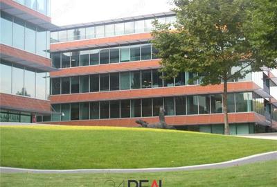 Spațiu comercial, în Nord - 9