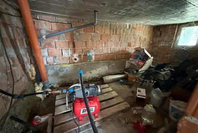 Casa individuala cu 2 camere si 495 mp teren in Sura Mare - 9