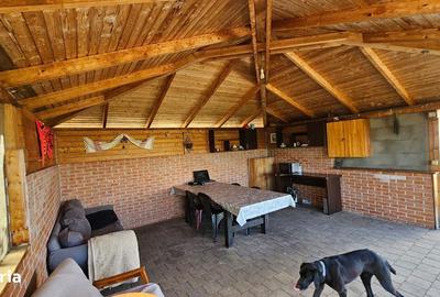 Casă cu 4 camere în Viișoara - 8