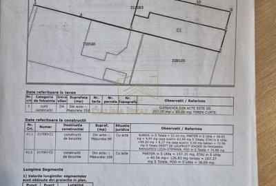 Vanzare - Proprietate cu Potential-Locuinta si Business - 48