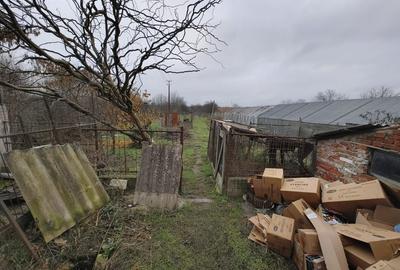 Casă Aradul Nou - 4