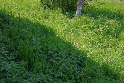 Spațiu comercial, în Viile Satu Mare