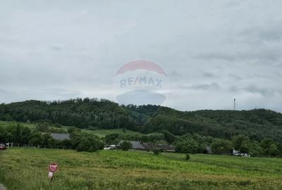 Teren Construcții intravilan de 1495 mp, în Dobreni - 6