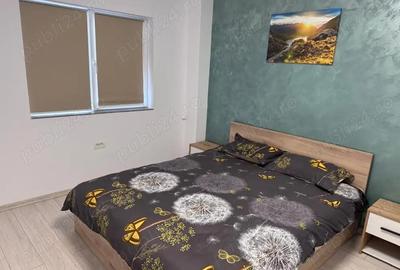 Apartament cu 2 camere decomandat în Ostroveni